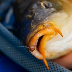 Fjuka Natural 2in1 200gram 9 Fjuka Natural 2in1 200gram -Visgerei Te Koop 173e3a2163a6a35f