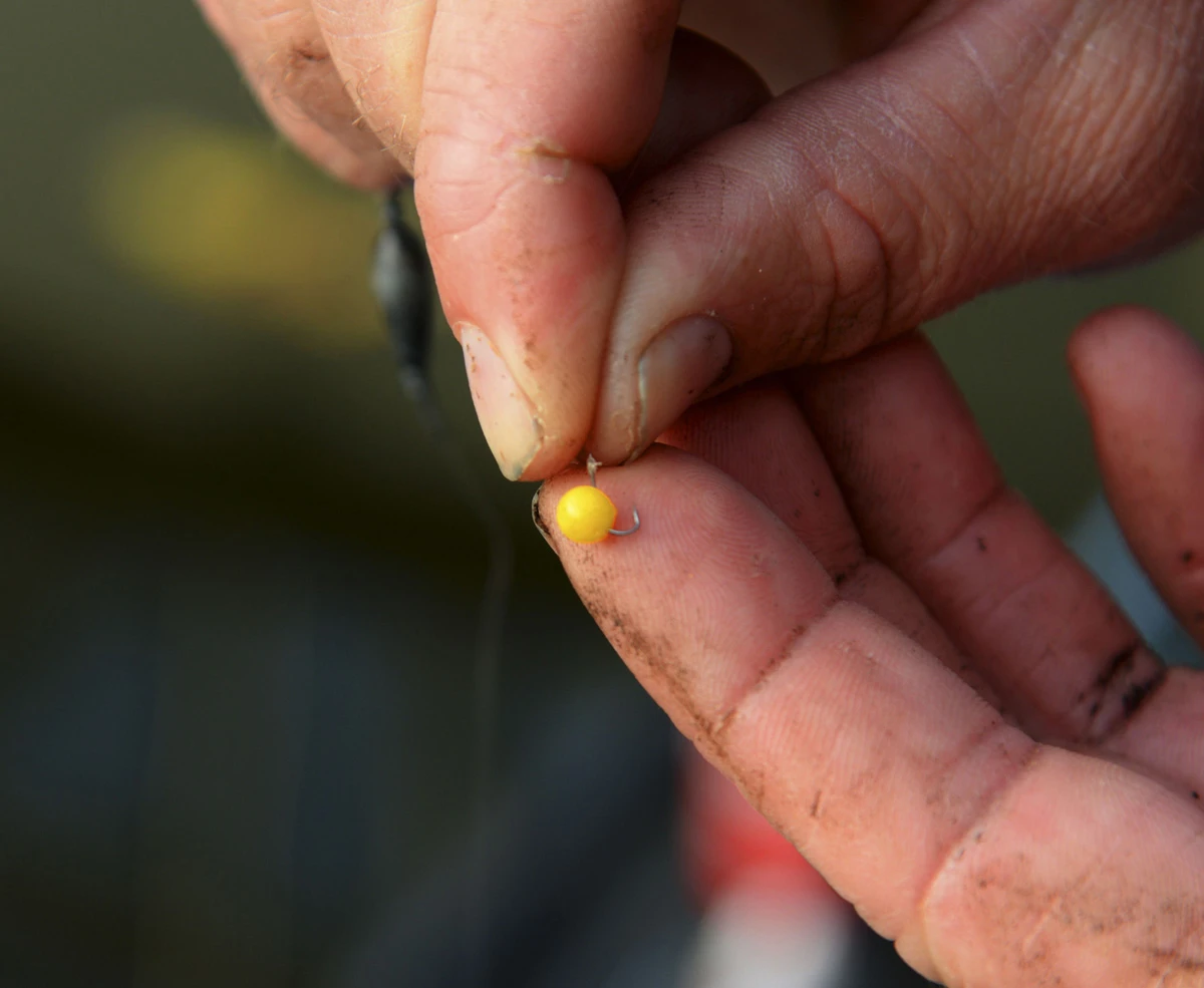 Cresta Spaghetti Balls Blood Red 3 Cresta Spaghetti Balls Blood Red