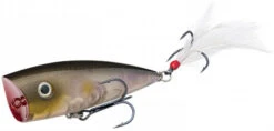 Strike King KVD Splash Clearwater Minnow