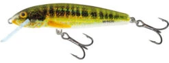 Salmo Minnow Floating 'Holo Real Minnow' 6cm (4g) -Visgerei Te Koop 4697c6243a972794