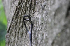 Ashima Travel FFX-S 10ft 3m 3.25Lb -Visgerei Te Koop 4a7d69384d52c63c