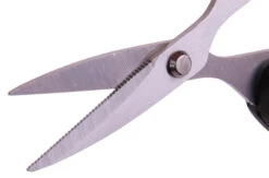 Ultimate Sharp Scissors -Visgerei Te Koop 4eb71b69cb4337ca