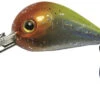 Behr Trendex Mini Pop Lure 2,5 Cm/ 4 Gr With Rattle 04 -Visgerei Te Koop 52fbfdb1a28beba4
