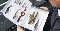 Abu Garcia Beast Gift Pack Kunstaas Set (6 Stuks) -Visgerei Te Koop 64e26657db5afdaa