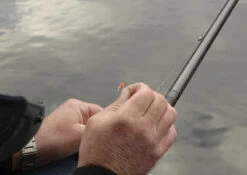 Cresta Spaghetti Balls Blood Red 11 Cresta Spaghetti Balls Blood Red -Visgerei Te Koop 7a9eca116683f06b