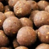 Dynamite Baits CompleX-T Boilies 1kg 18mm -Visgerei Te Koop 7d1ddc12c3905c39