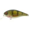 River2Sea Biggie 57 BR Crankbait Real Perch