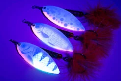 Fox Rage Ultra UV Spinner Roach 26g Size 6 -Visgerei Te Koop 9d03663bcfba6776
