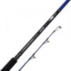Savage Gear SGS6 Shore Jigging 10'/3,05m MF 60-150gr H 2,5-5,0 2sec -Visgerei Te Koop 9d4c4dbc11cb2720