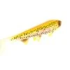 Hostagevalley Shad 18cm (55g) Golden Trout