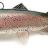 Castaic Swimbait Trout Sinking Rainbow Trout 15cm -Visgerei Te Koop b9e02db77631b77d