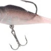 Balzer Shirasu Softbait Set 11 Cm