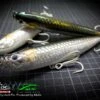 Molix WTD 150T (15cm | 45g) Tarpon -Visgerei Te Koop d6ab2a90f5940756