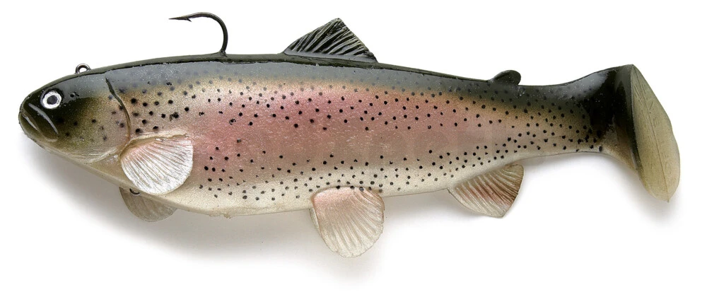 Castaic Swimbait Trout Rainbow Trout 20cm 3 Castaic Swimbait Trout Rainbow Trout 20cm