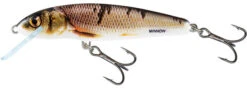 Salmo Minnow Floating 'Holo Real Minnow' 6cm (4g) -Visgerei Te Koop e1fa3174b6acd01a