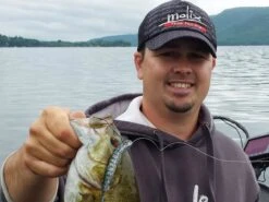 Molix Sneaky Stick 4,5"/11,25cm Sinking (8pcs) White Shad