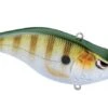 Spro Aruku Shad 6,5cm (14g) Perch 1 Spro Aruku Shad 6,5cm (14g) Perch -Visgerei Te Koop fffefd2be09247cb