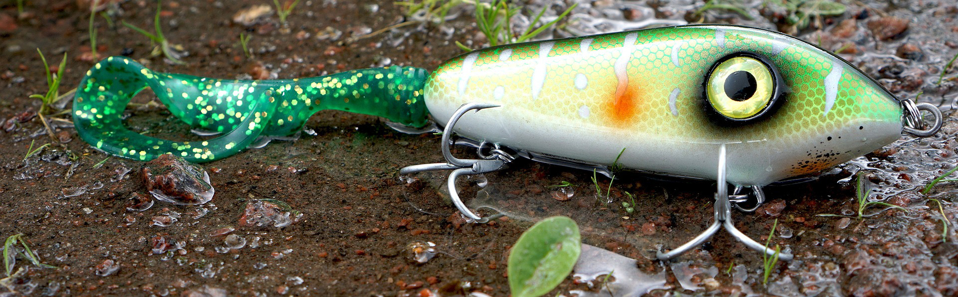 Visgerei Te Koop -Visgerei Te Koop fishing 1563233 1920